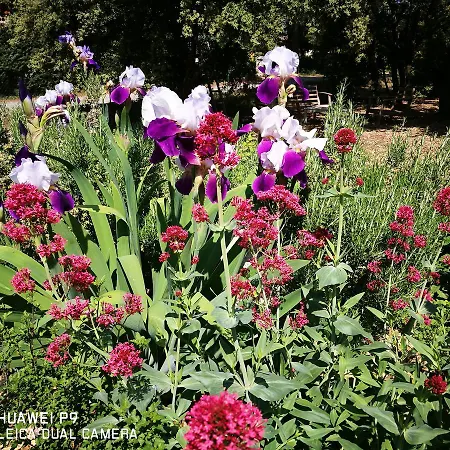 Bed & Breakfast Les Beaumes Luberon
