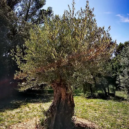 Les Beaumes Luberon Puget