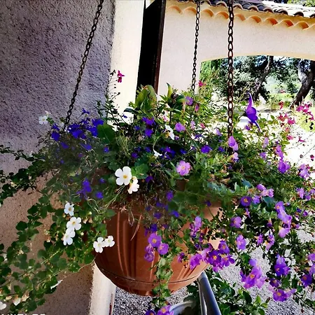 Les Beaumes Luberon